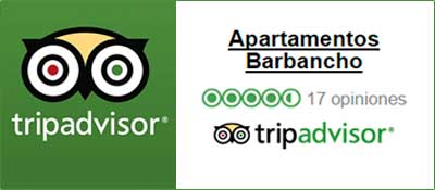 tripadvidsor