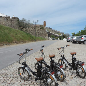 Bicis eléctricas